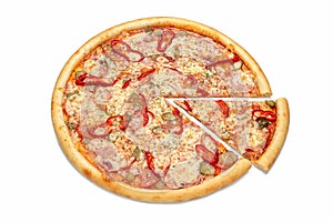 Fresh pizza for a large company, isolated, close-up.