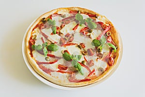 Fresh pizza with tomatoes, cheese mozzarella, red pepper and olives decorated basil leaves on white wooden table.
