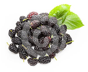 Fresh plowed dark mulberries