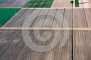 Fresh plowed, empty fields in autumn. Aerial view harvested fields,