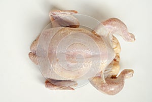 Fresh plucked chicken for cooking  lies on a white background.