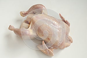 Fresh plucked chicken for cooking  lies on a white background.