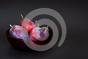 Fresh plum. Autumn harvest. Ripe purple plums in glass bowl on dark background. Concept: seasonal fruits, healthy food. Close up.