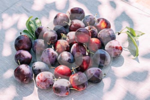 Fresh plum, fruits of ripe organic fruits on kitchen table, top view. seasonal harvest