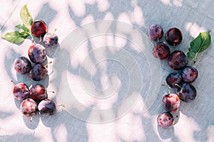 Fresh plum, fruits of ripe organic fruits on the kitchen table, top view. Seasonal harvest