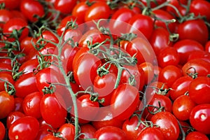 Fresh plum tomatoes at a market