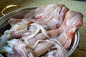Fresh and plump seafood squid