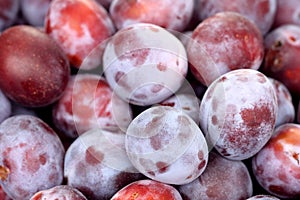 Fresh plums