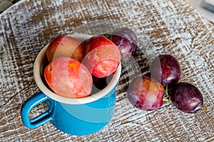 Fresh Plums in a blue mug