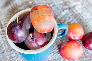 Fresh Plums in a blue mug