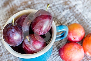 Fresh Plums in a blue mug