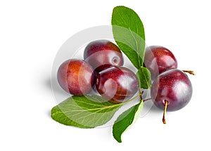 Fresh plums with green leaves still life of ripe fruits