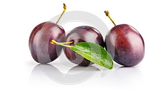 Fresh plums with green leaves still life of ripe fruits