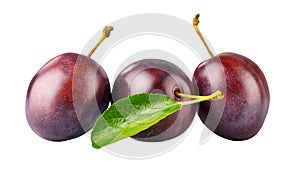 Fresh plums with green leaves still life of ripe, natural organic fruits, isolated