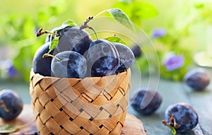 Fresh plums with leaves