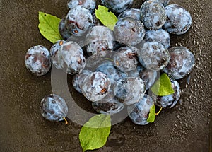 Fresh plums with leaves