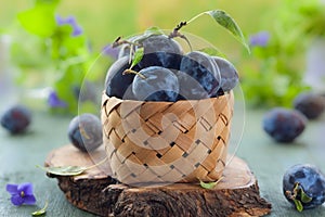 Fresh plums with leaves