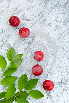 Fresh plums with leaves on the table close-up. Copy space