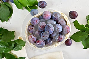 Fresh plums over light stone background