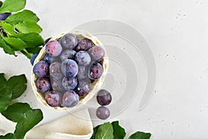 Fresh plums over light stone background