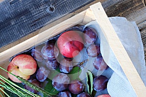 Fresh plums and peaches in a wooden box