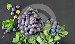 Fresh plums on plate