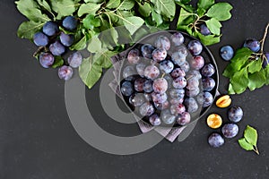 Fresh plums on plate