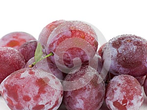 Fresh plums with water drops.
