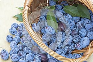 Fresh plums in a wooden basket