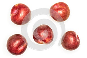 Fresh pluot interspecific plums isolated on white