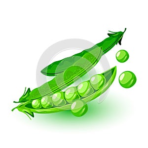 Fresh podded green peas. Legume plant. Vegetable for vegetarian, vegan kitchen, alcaline diet.