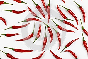 Fresh pods of red chili peppers on white background, close up