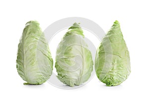 Fresh pointed cabbage on color background