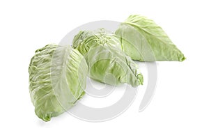 Fresh pointed cabbage on color background