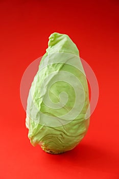 Fresh pointed cabbage on color background