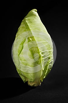 Fresh pointed cabbage on dark background