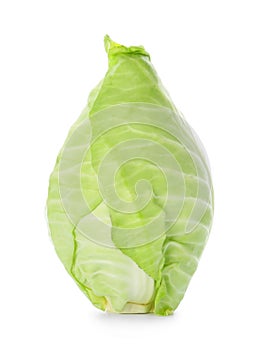 Fresh pointed cabbage on white background