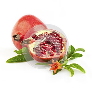 Fresh pomegranate with flower and leaves
