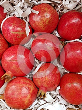 Fresh pomegranate fruit photo