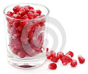 Fresh pomegranate