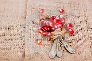 Fresh pomegranate seeds, lie on a wooden