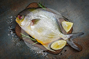 Fresh pomfret fish with herbs spices rosemary and lemon on wooden cutting board and black plate background - Raw black pomfret