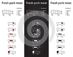 Fresh Pork meat cuts set