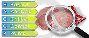 Fresh pork steak HACCP Hazard Analysis and Critical Control Points concept with image seen through a magnifying glass - Food