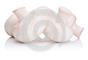 Fresh Portabello Mushroom champignon isolated on white