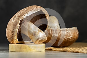 Fresh Portobello Mushroom on wooden board