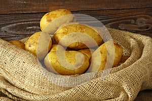 Fresh potatos in bag after harvest