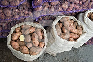 Fresh potatoes in a bags