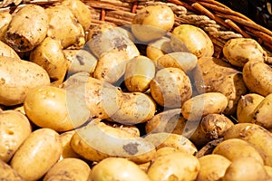 Fresh potatoes in a basket in a farmer agricultural open air market, seasonal healthy food