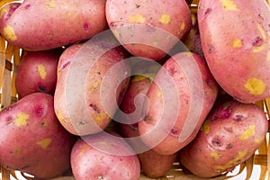 Fresh potatoes in basket isolated on white